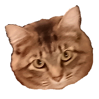 Stella, the brown cat
